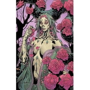 Briar Boom! #4B VF ; Boom! Comic Book