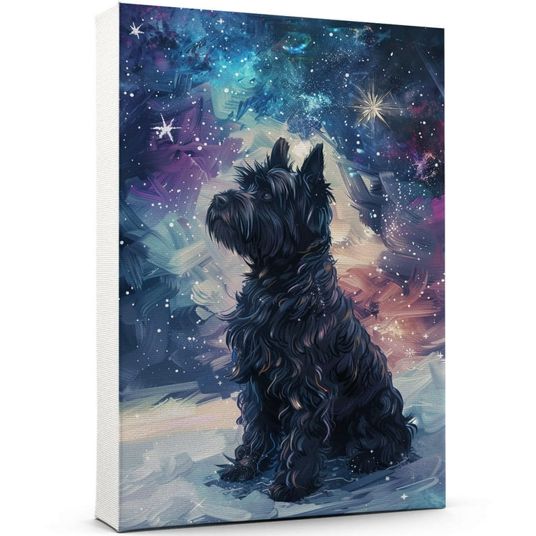 Terrier Miniature Briard Briard French Shepherd Puppy Sitting