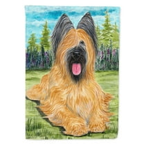 Briard Flag Canvas House Size