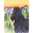 thumbnail image 1 of Briard Flag - Garden Size, 1 of 1