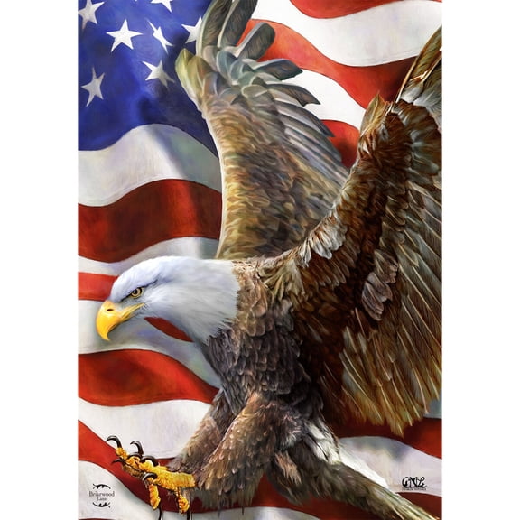 Briarwood Lane Everyday House Flag 40x28 For Outdoor American Freedom Eagle House Flag