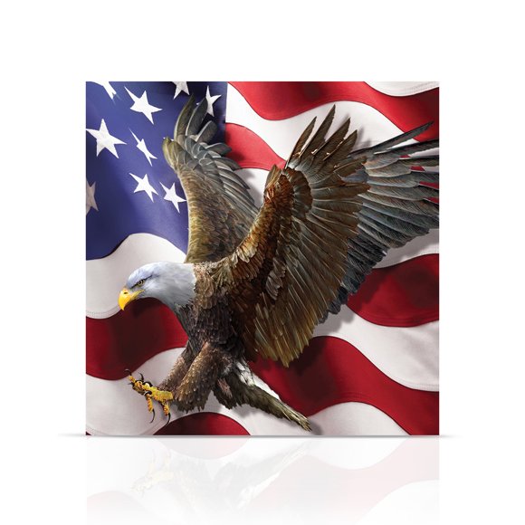 Briarwood Lane American Freedom Eagle Medium LED Canvas Art