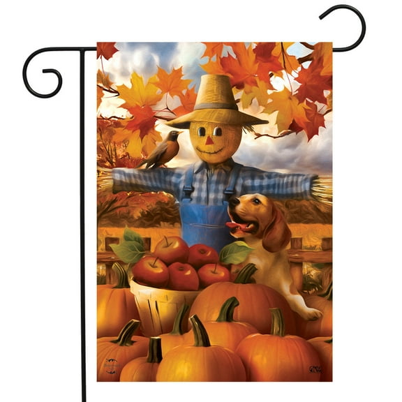 Briarwood Lane Autumn Scarecrow Harvest Garden Flag