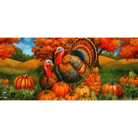 Briarwood Lane Fall Thanksgiving Autumn Turkey Pair Mini Mat 22x10 Indoor Outdoor