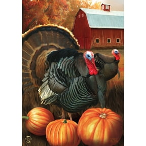 Briarwood Lane Fall Thanksgiving House Flag 40x28 For Outdoor Autumn Turkeys For Thanksgiving House Flag