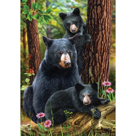Briarwood Lane Summer Garden Flag 12x18 For Outdoor Black Bear Family Nature For Summer Garden Flag Flags For Outside