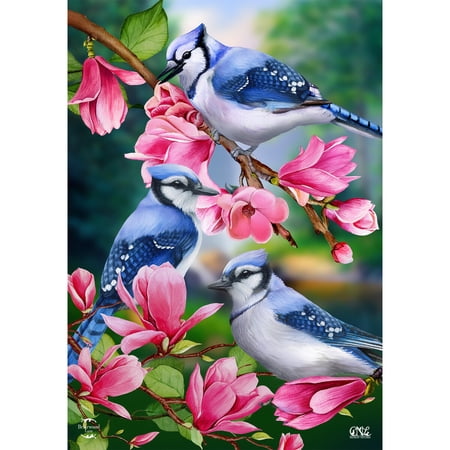 Briarwood Lane Spring Garden Flag 12x18 For Outdoor Blue Jay Trio For Spring Garden Flag Flags For Outside