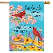 Briarwood Lane Cardinals Appear Spring House Flag