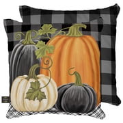 Briarwood Lane Indoor/Outdoor Pillow 17x17 Checkered Pumpkins Fall Decorative For Fall Pillow