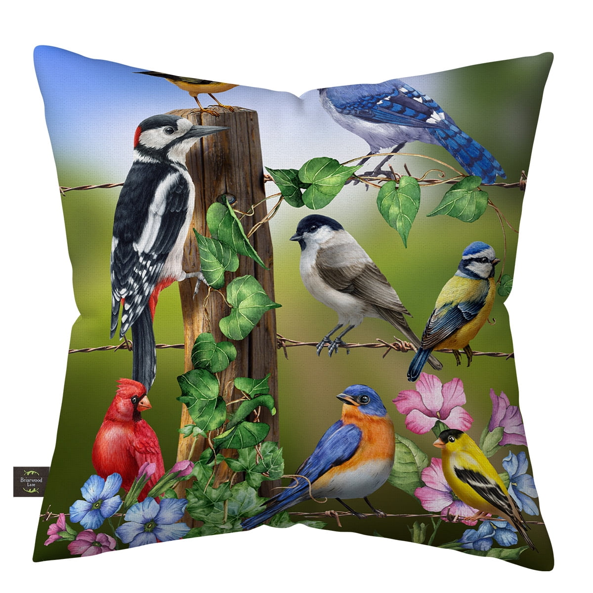 Briarwood Lane Spring Indoor/Outdoor Pillow 17x17 Country Birds For Spring Pillow