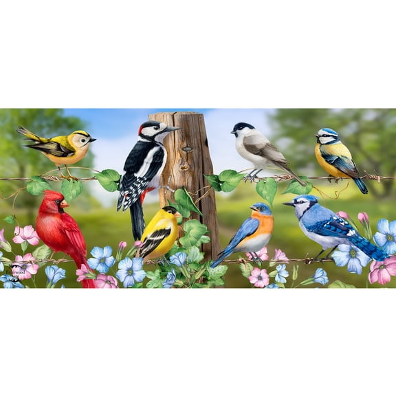 Briarwood Lane Spring Country Birds Mini Mat 22x10 Indoor Outdoor For Spring Doormat