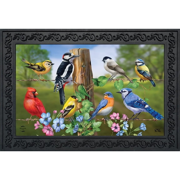 Briarwood Lane Country Birds Spring Doormat
