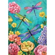 Briarwood Lane House Flag 40x28 For Outdoor Dragonfly Garden Spring For Spring House Flag