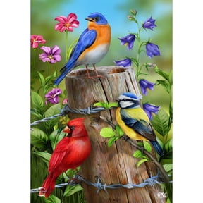 Briarwood Lane Spring Garden Flag 12x18 For Outdoor Fence Post Birds For Spring Garden Flag Flags For Outside