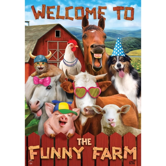 Briarwood Lane Garden Flag 12x18 For Outdoor Funny Farm Summer For Summer Garden Flag Flags For Outside