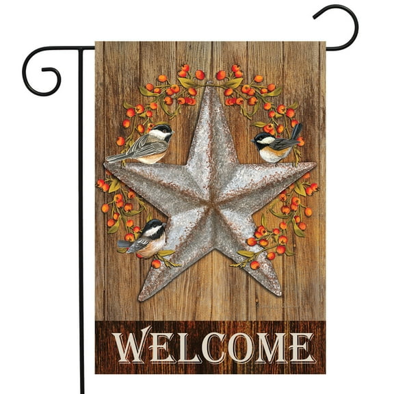 Briarwood Lane Harvest Barnstar Welcome Garden Flag