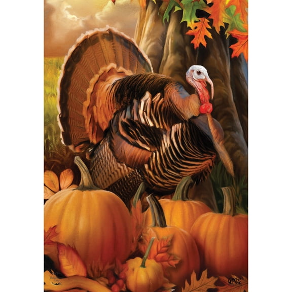 Briarwood Lane Thanksgiving Garden Flag 12x18 For Outdoor Harvest Turkey Fall For Thanksgiving Garden Flag Flags For Outside