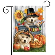 Briarwood Lane Pilgrim Puppies Garden Flag