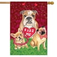 thumbnail image 1 of Briarwood Lane Puppy Love Valentine's Day House Flag, 1 of 4