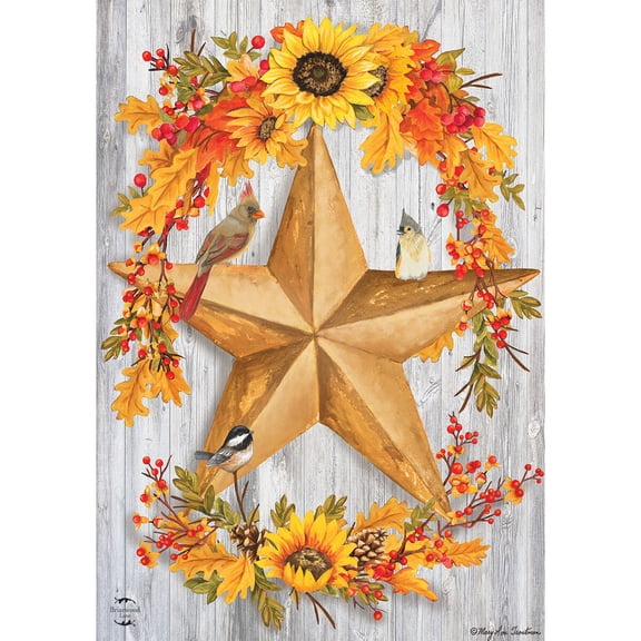 Briarwood Lane House Flag 40x28 For Outdoor Rustic Fall Barnstar For Fall House Flag