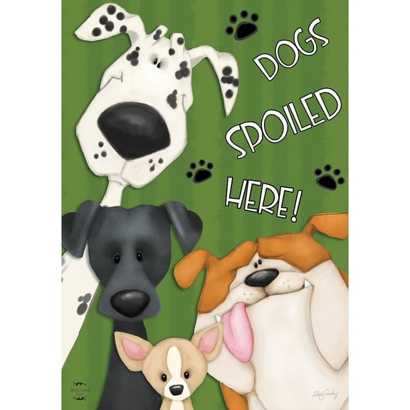 Briarwood Lane Everyday Garden Flag 12x18 For Outdoor Spoiled Dogs Fall Garden Flag Flags For Outside