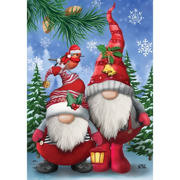 Briarwood Lane Winter House Flag 40x28 For Outdoor Winter Gnomes Christmas For Christmas House Flag
