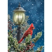 Briarwood Lane Winter Garden Flag 12x18 For Outdoor Winter Solitude Cardinal For Winter Garden Flag Flags For Outside