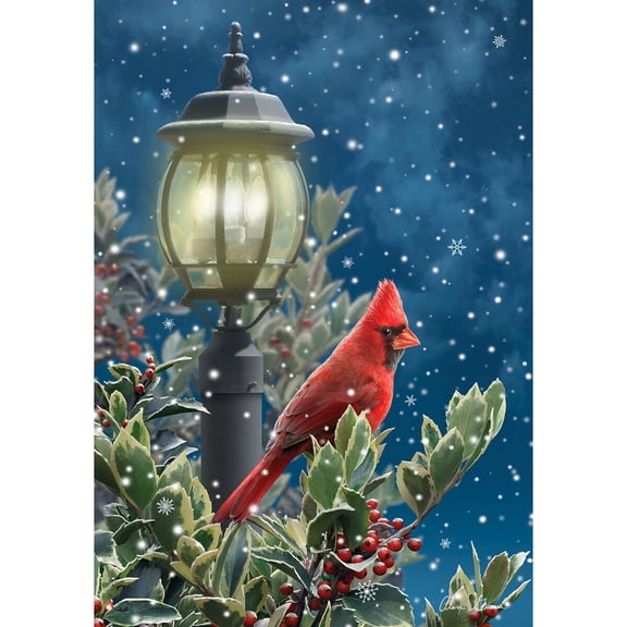 Briarwood Lane Winter House Flag 40x28 For Outdoor Winter Solitude Cardinal For Winter House Flag