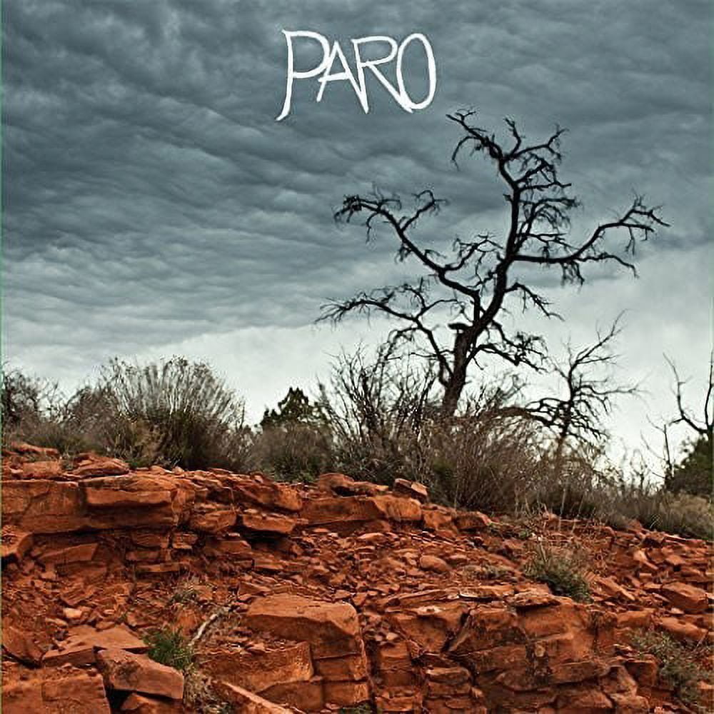 Brice Randall Bickford - Paro - Music & Performance - Vinyl