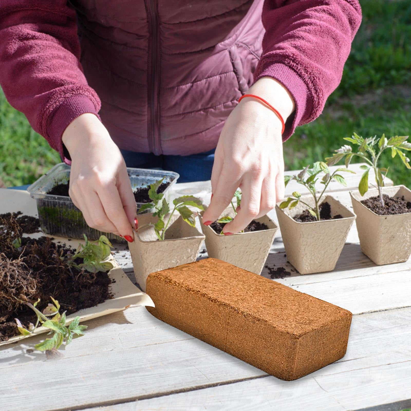Brick Substrate Brick Nutrient Bran To Flowers And Vegetables Substrate Brick No Insect ...