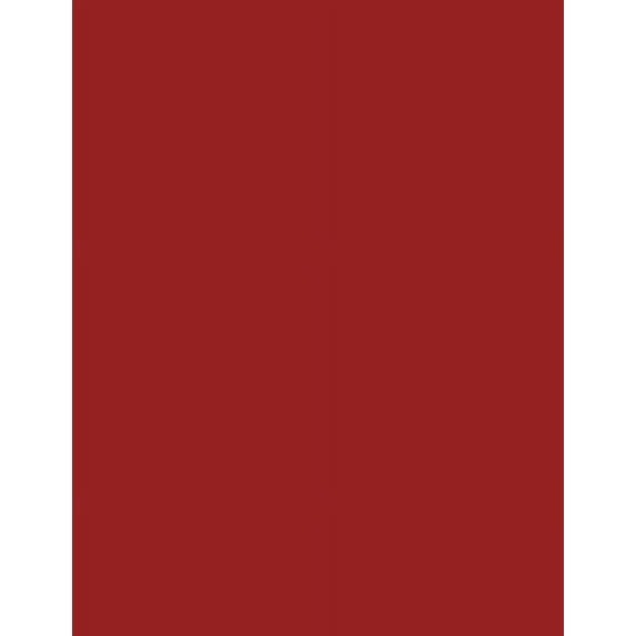 Brick Red 101 - Lined with Margins Notebook : 101 Pages, 8.5 X 11, Wide Ruled, Journal, Soft Cover