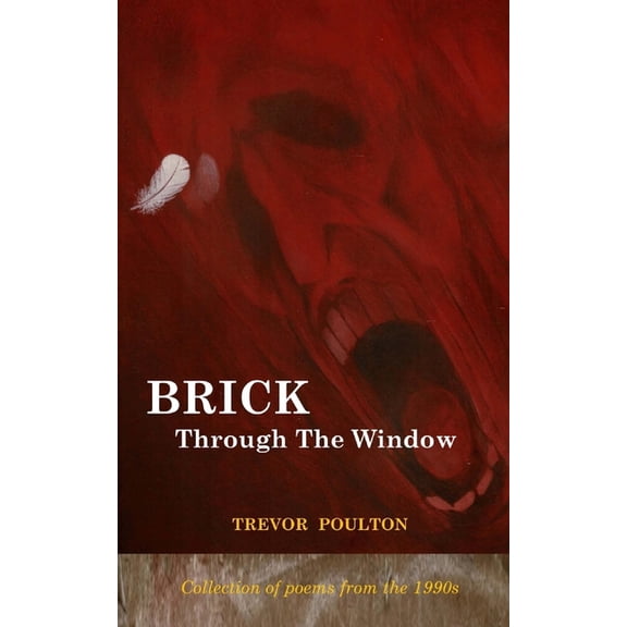 Brick Through The Window (Poems from the 1990s) (Paperback)