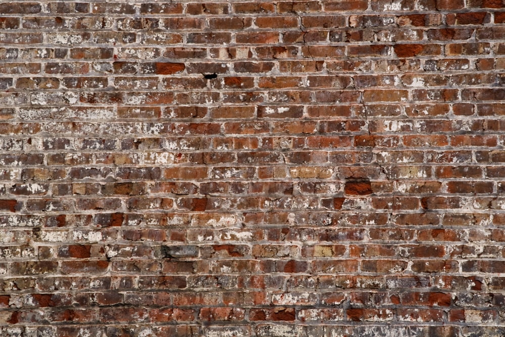 Brick Wall Canvas Art - David Chapman Design Pics (19 x 12)