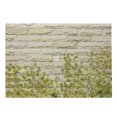 thumbnail image 1 of Brick Wall Cutting Board, Ground Creepy Climbing Wood Ivy Plant Leaf on Brick Wall Nature Flower Invasion, Decorative Tempered Glass Cutting and Serving Board, Large Size, Green White, by Ambesonne, 1 of 5