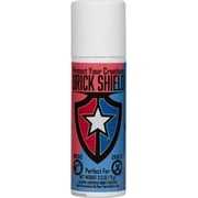 BrickShield Plastic Brick Glue Spray- A non-permanent spray on glue for plastic brick toys and other building blocks.