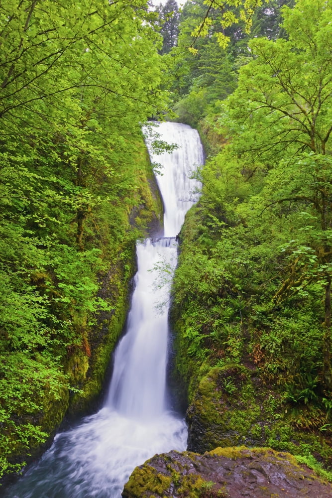 Bridal Veil Falls In Columbia River Gorge National Scenic Area In The Pacific Northwest Oregon United States of America Canvas Art - Craig Tuttle Design Pics (12 x 19)