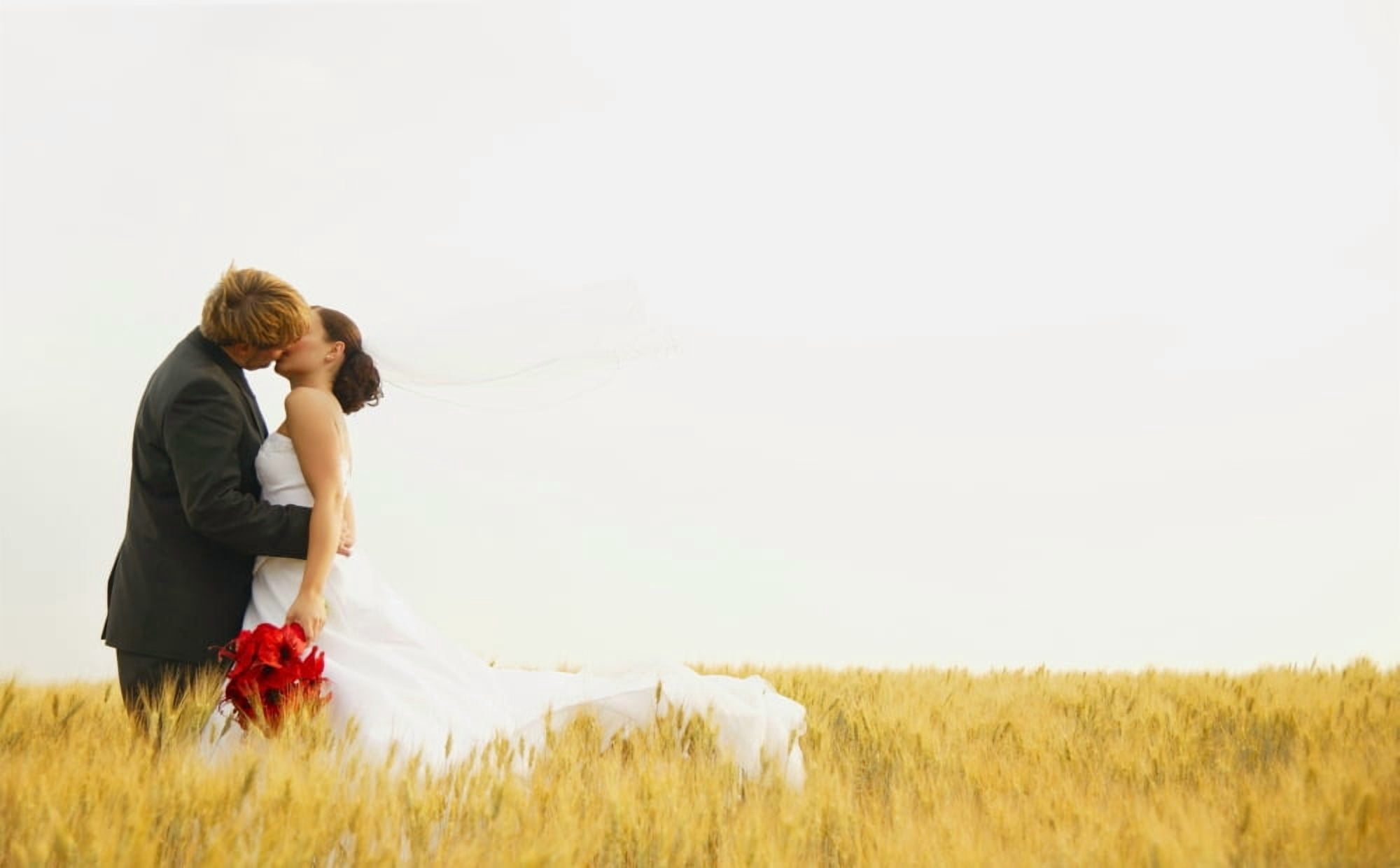 Bride And Groom Kiss Canvas Art - Don Hammond Design Pics (17 x 11)