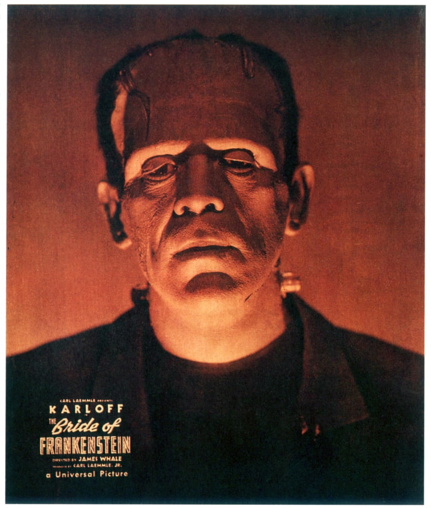 Bride Of Frankenstein Canvas Art - (11 x 17)