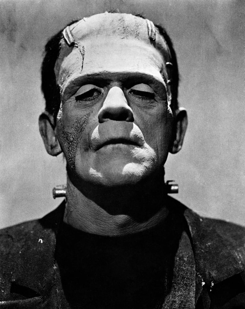 Bride Of Frankenstein Canvas Art - (16 x 20)