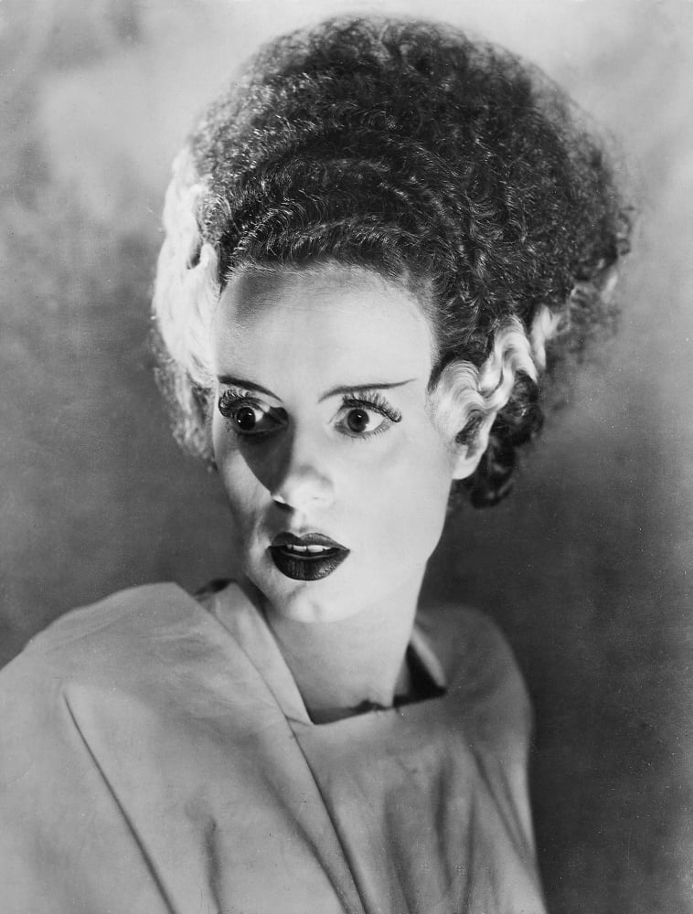 Bride Of Frankenstein Canvas Art - (16 x 20)