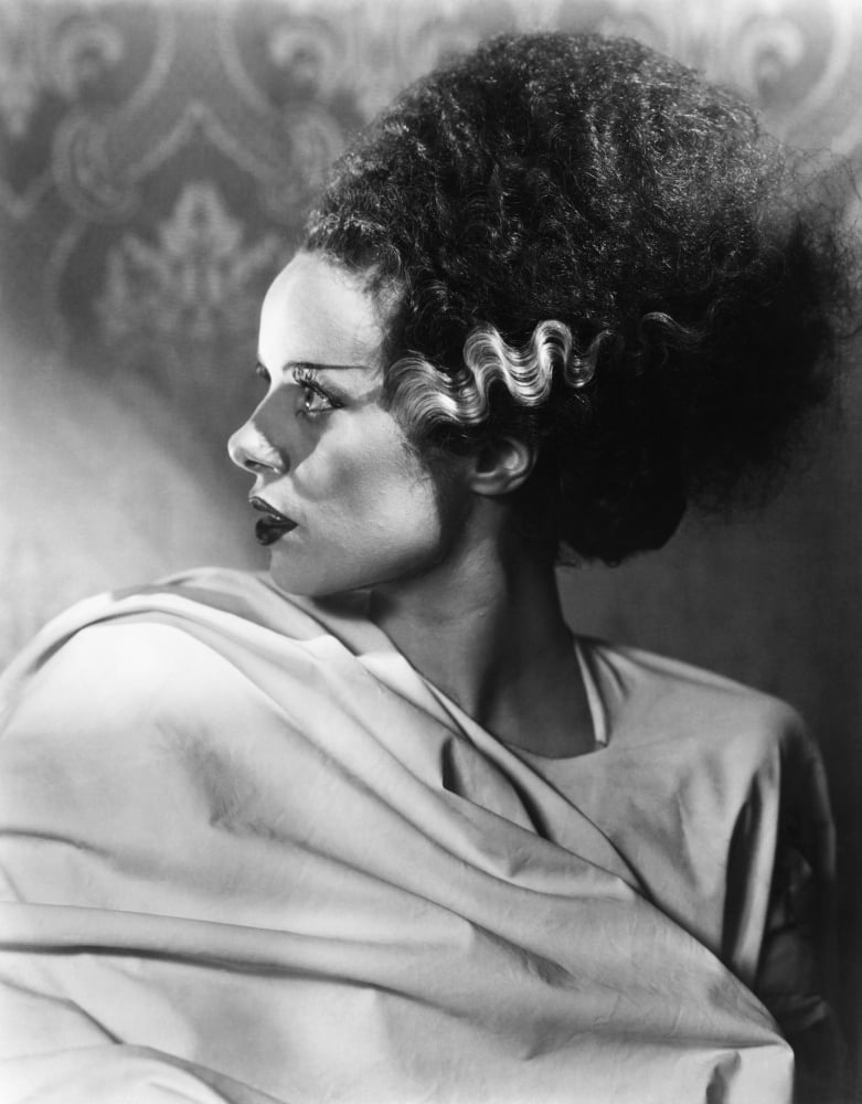 Bride Of Frankenstein Canvas Art - (16 x 20)