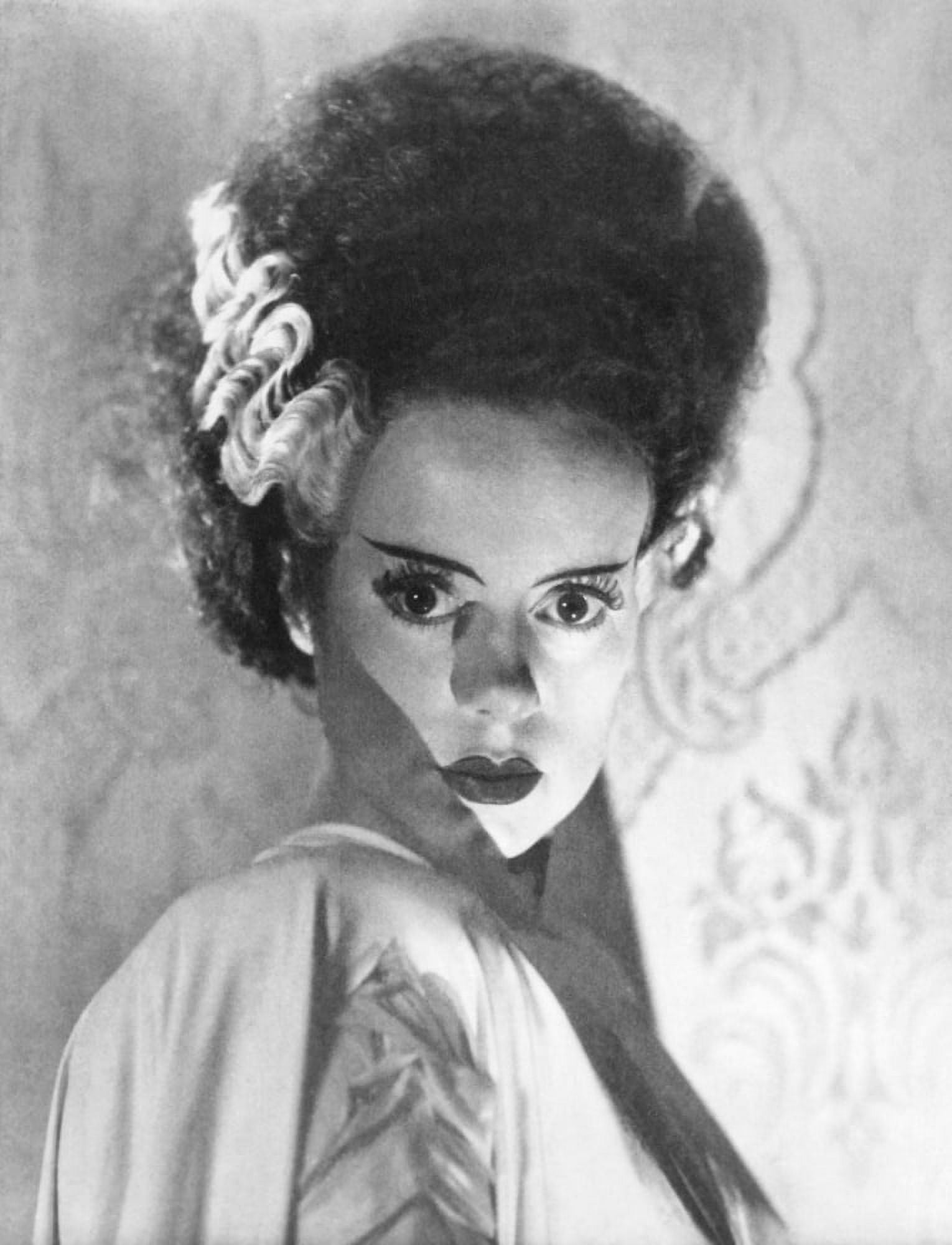 Bride Of Frankenstein Canvas Art - (16 x 20)