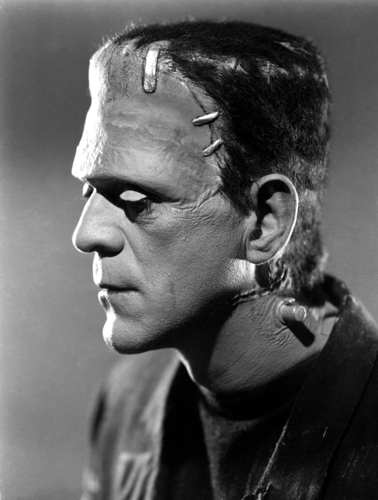 Bride Of Frankenstein Canvas Art - (16 x 20)
