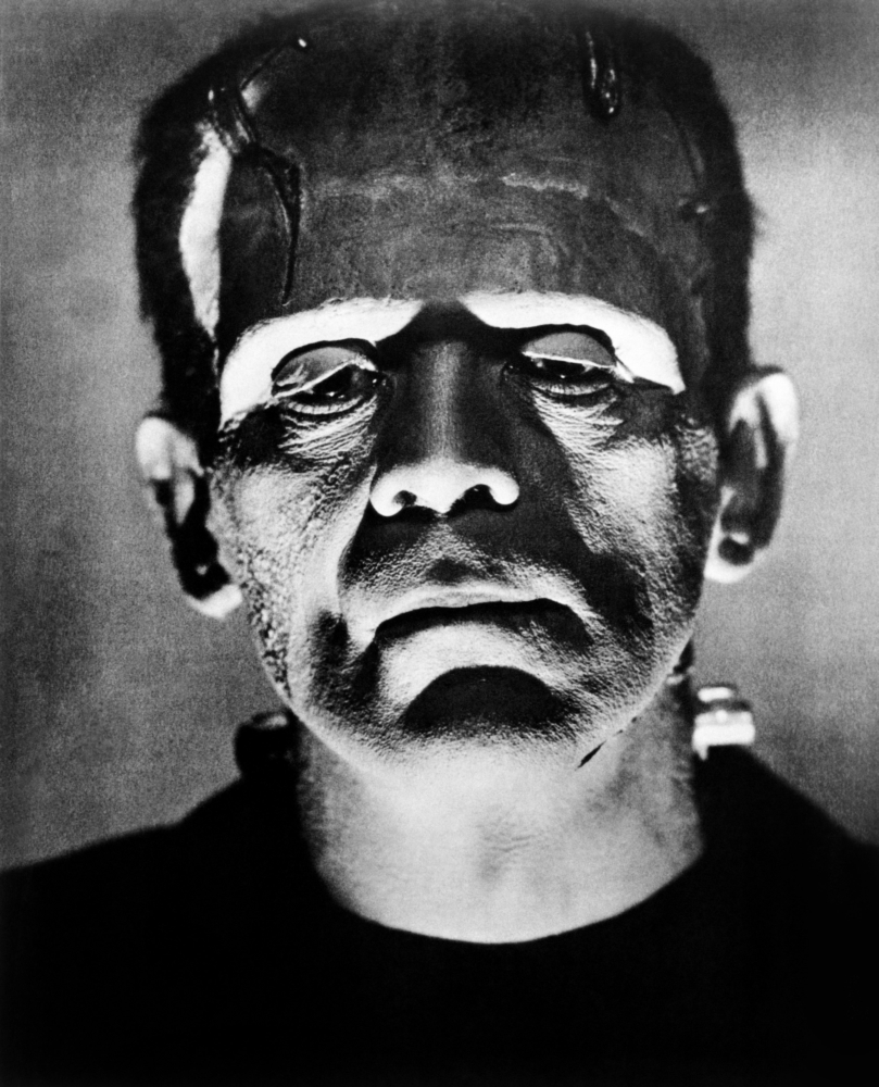 Bride Of Frankenstein Canvas Art - (16 x 20)