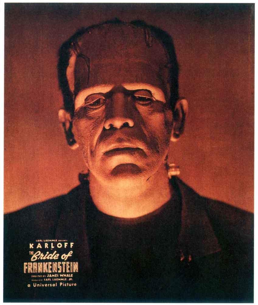 Bride Of Frankenstein Canvas Art - (24 x 36)
