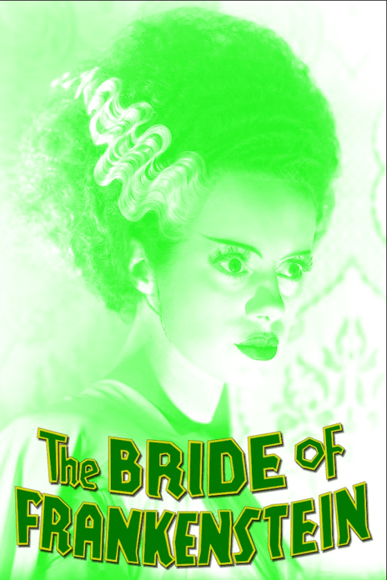 Bride of Frankenstein 1935 Poster 24x36 Classic Horror Vintage Art ...