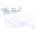 thumbnail image 1 of Bride to Be Veil & Sparkle Tiara, 1 of 2
