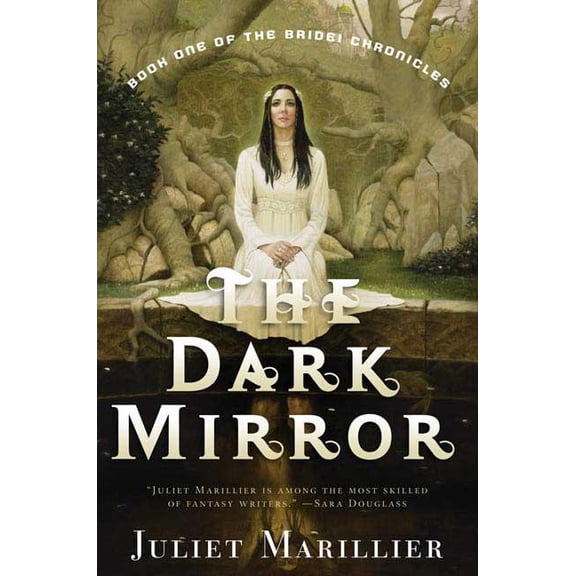 Bridei Chronicles The Dark Mirror: Book One of the Bridei Chronicles, Book 1, (Paperback)