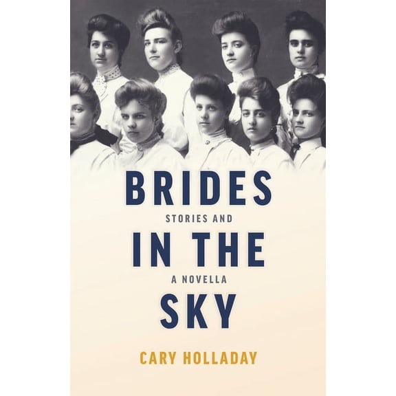 Brides in the Sky : Stories and a Novella (Hardcover)