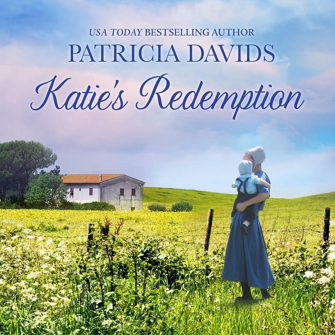 Brides of Amish Country Series LibE: Katies Redemption LibE (Audiobook)  - Walmart.com